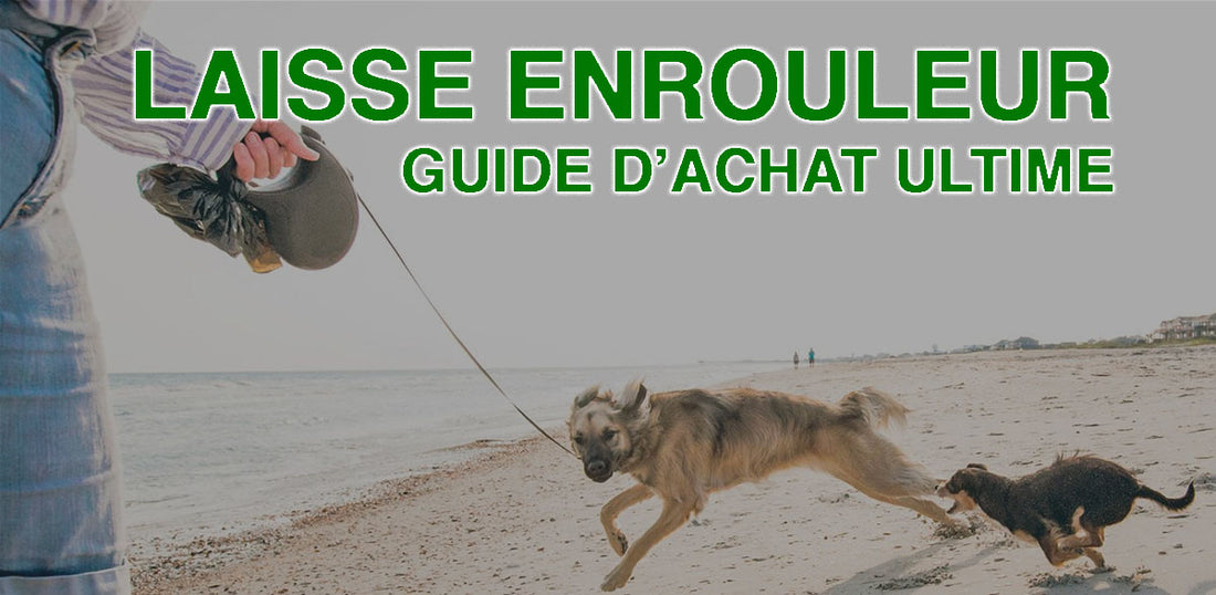 laisse enrouleur pour chien