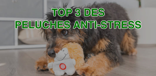 peluche anti stress chien