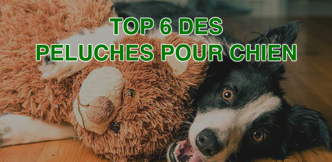 peluches pour chien