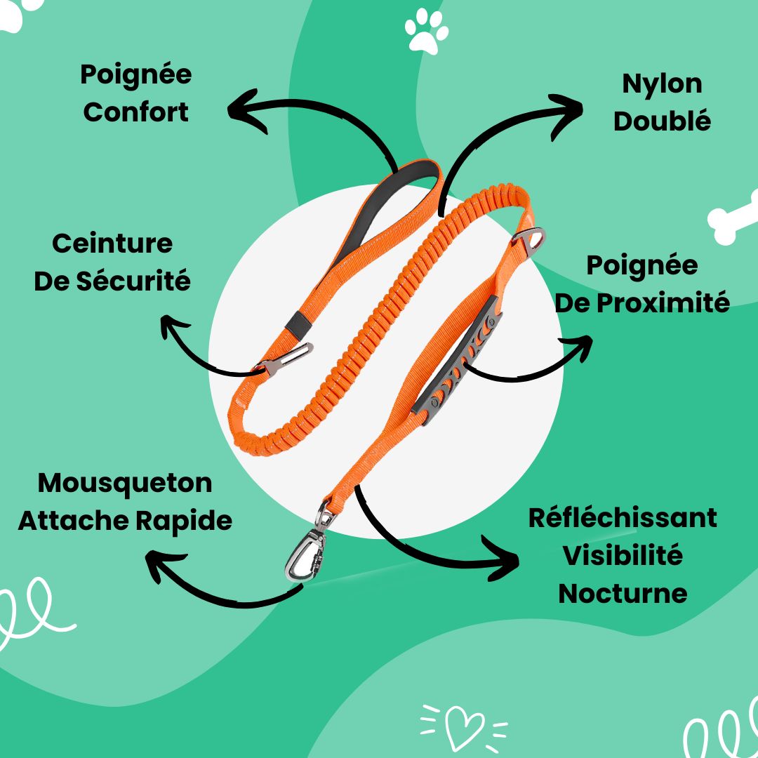 Laisse NoPull™ 3 en 1 Anti-Tirage