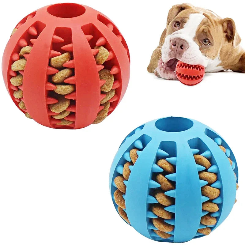 balle à friandises pour chien