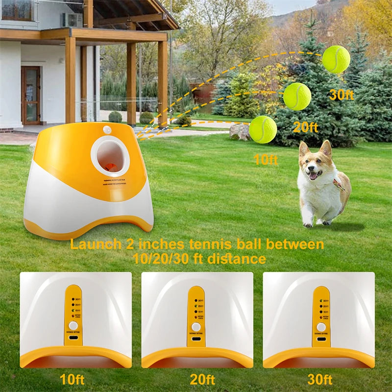 Lanceur de Balle Automatique pour Chien