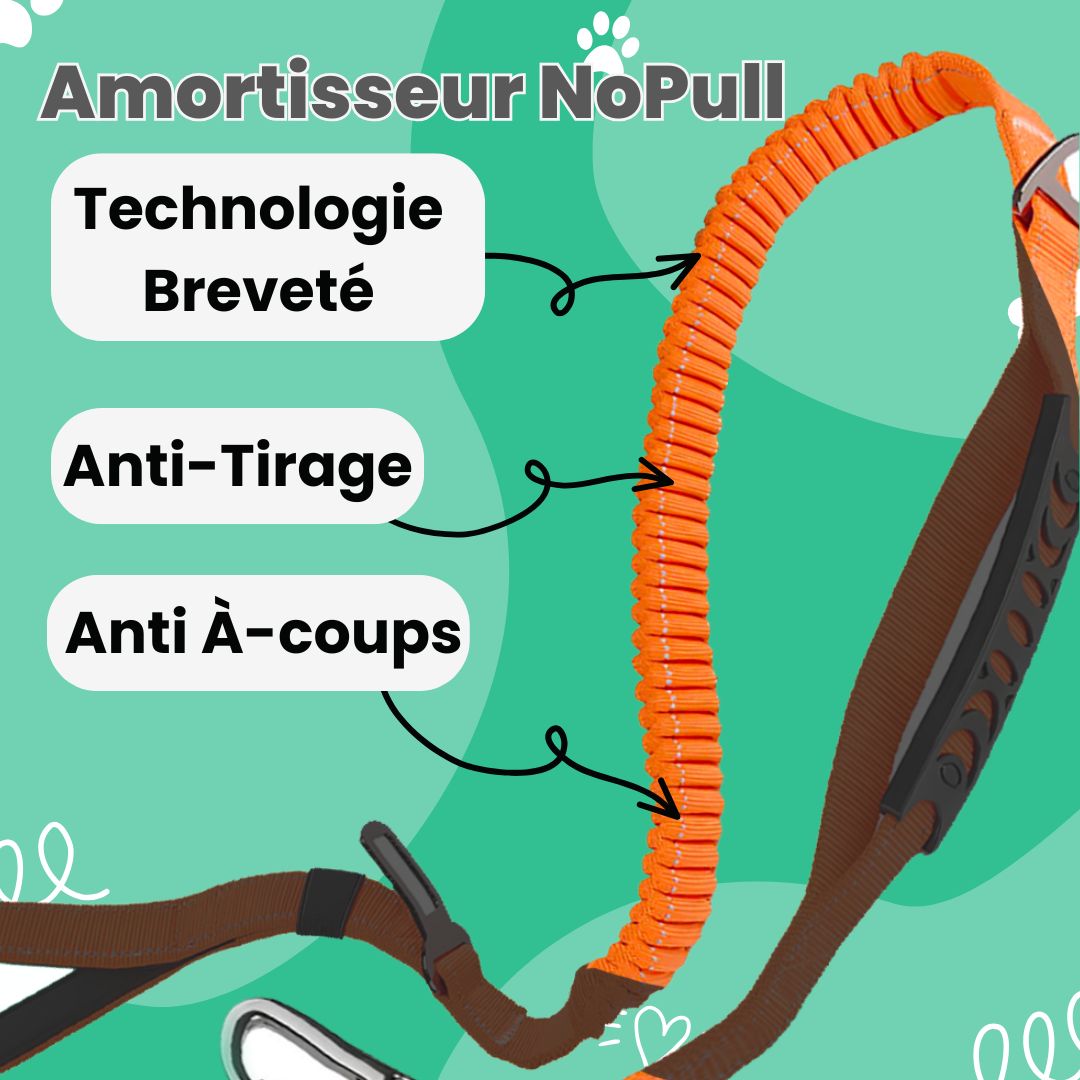 Laisse NoPull™ 3 en 1 Anti-Tirage