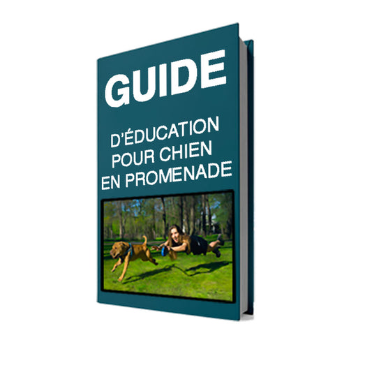 PDF - Guide D'éducation Pour Chien À La Promenade