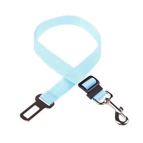 ceinture chien voiture bleue