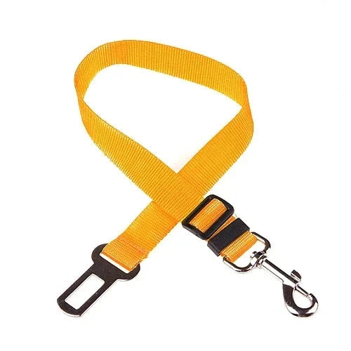 ceinture chien voiture jaune