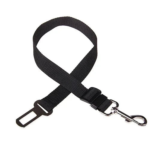 ceinture chien voiture noire