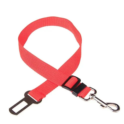 ceinture chien voiture rouge