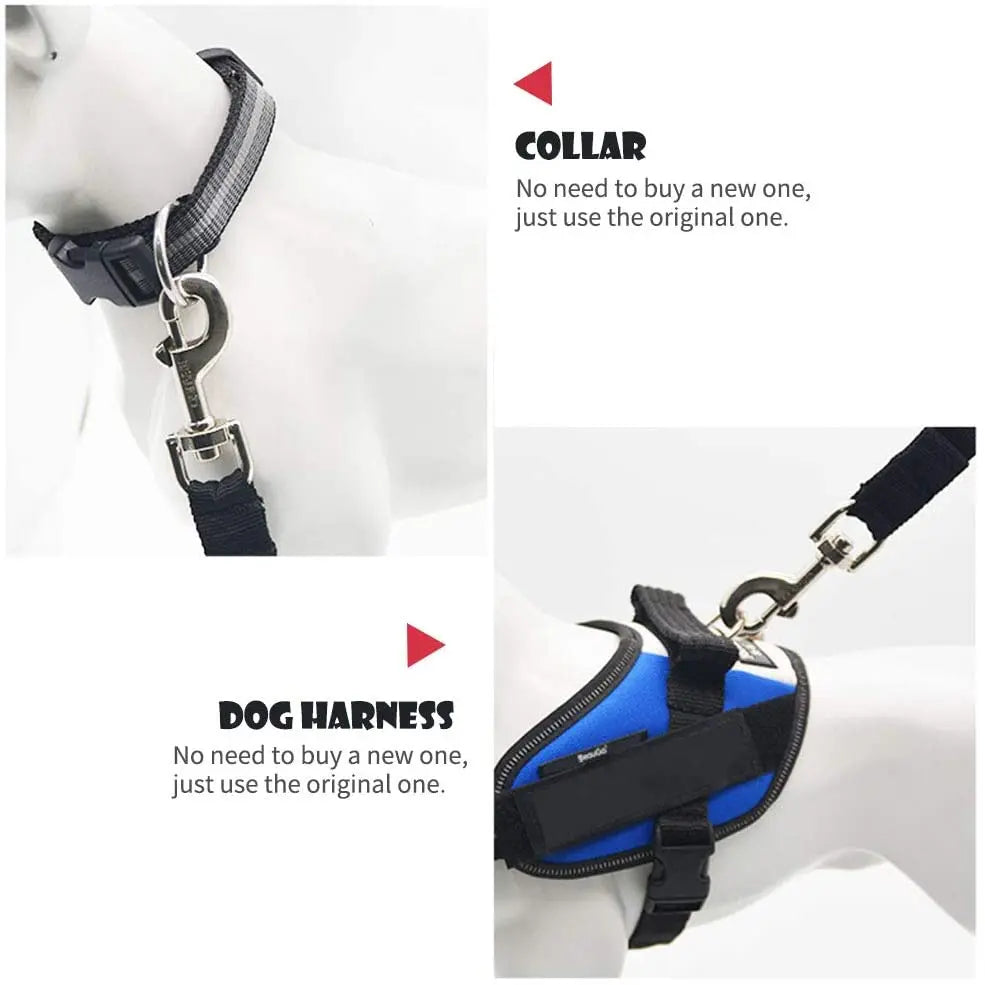 ceinture chien voiture usage