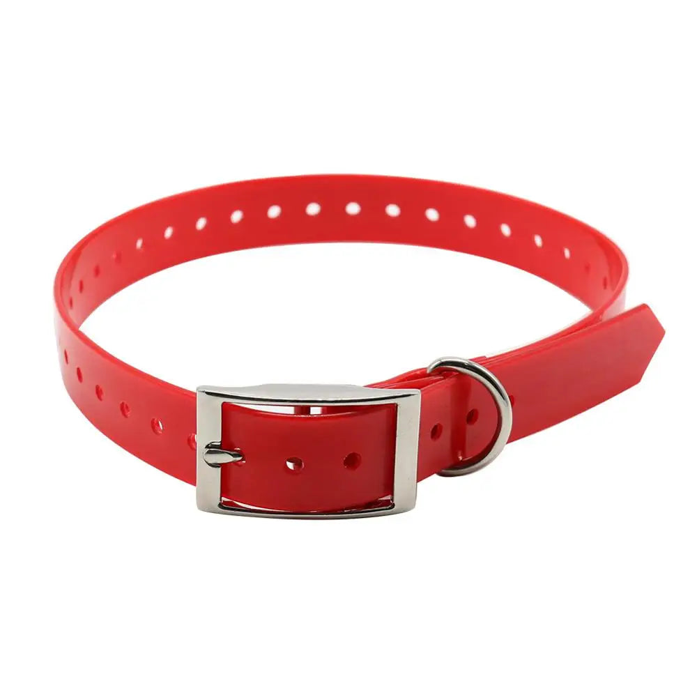 collier biothane chien rouge