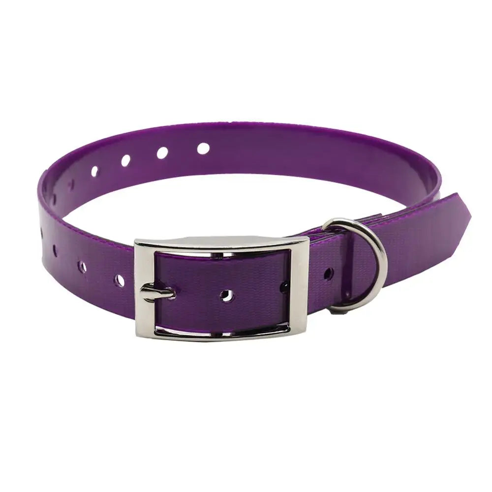 collier biothane violet