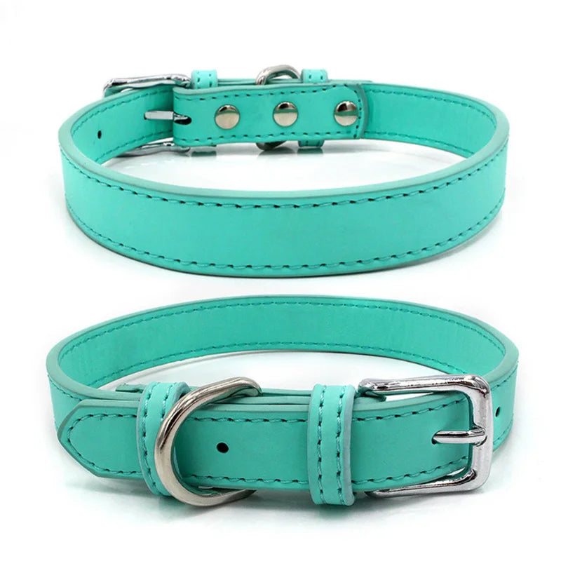 collier chien cuir-bleu-pu