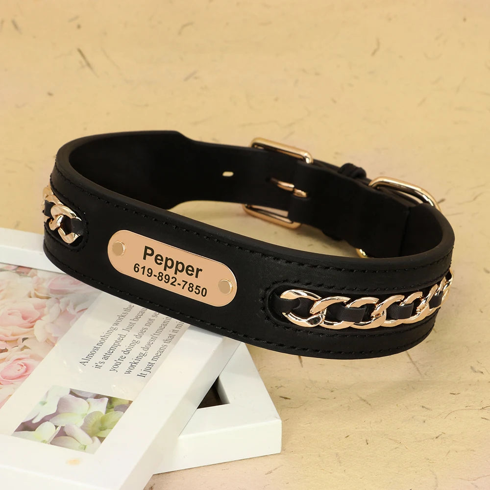 collier chien personnalise