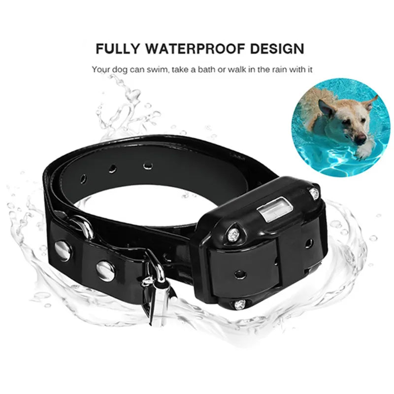 collier de dressage pour chien waterproof