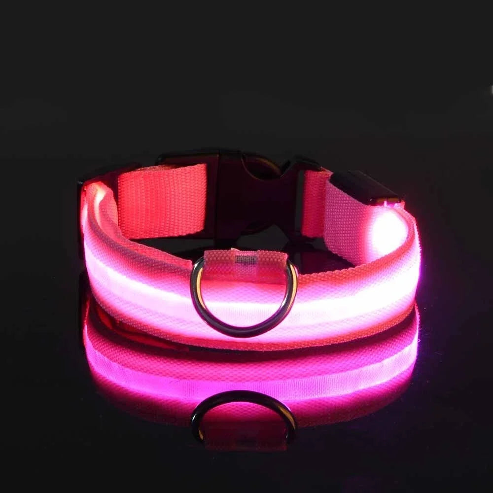 collier lumineux chien rose