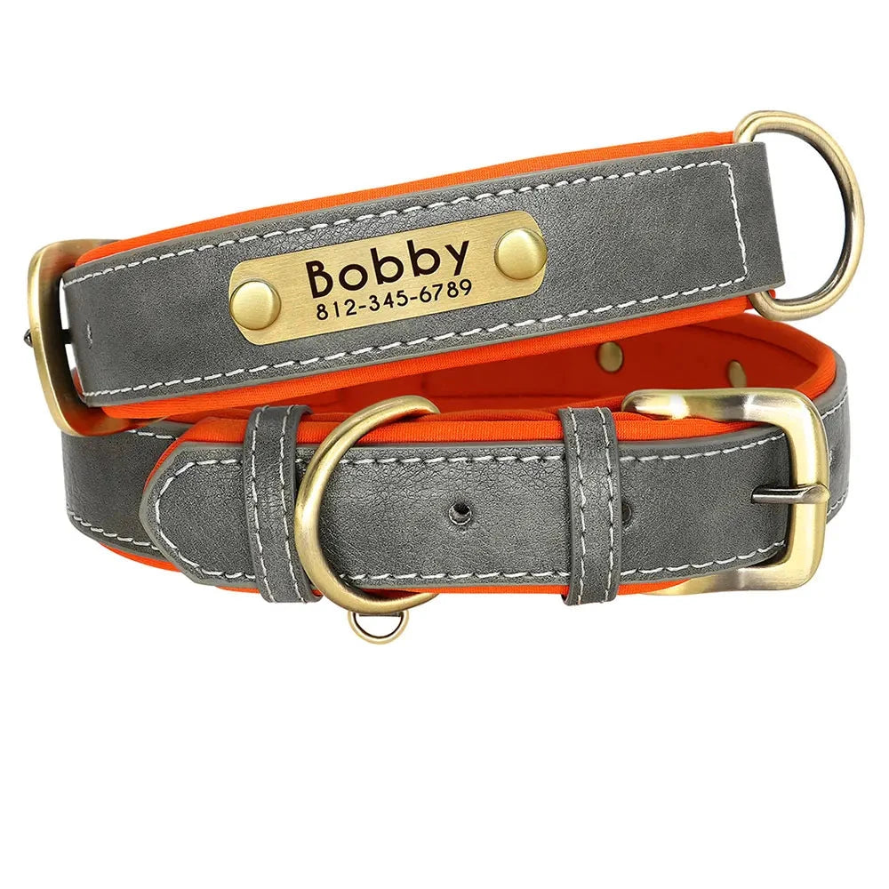 collier pour chien personnalisé