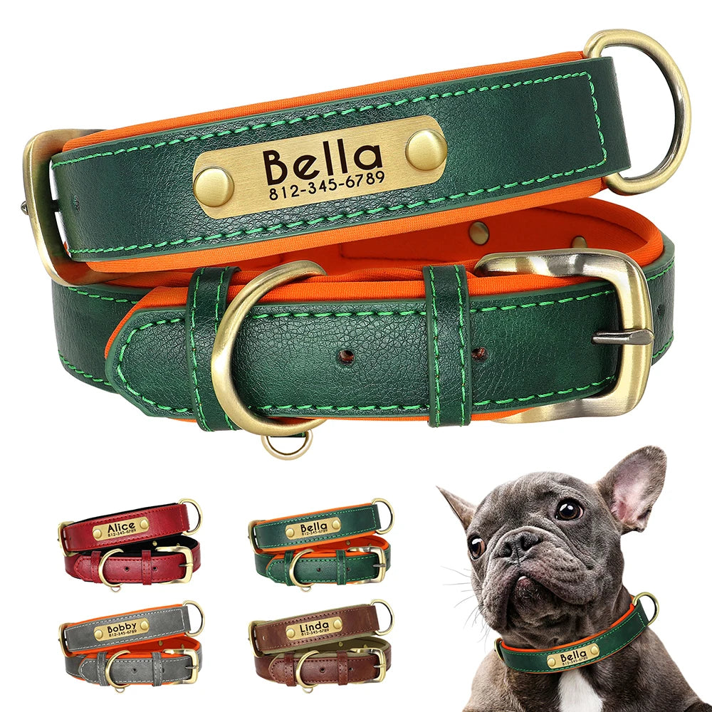 collier pour chien personnalisé