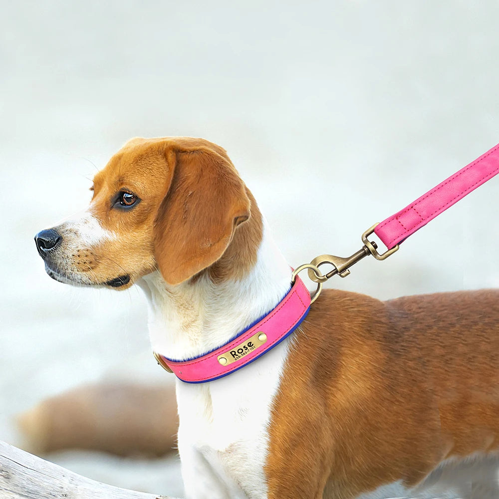 collier chien personnalisé en cuir girly laisse