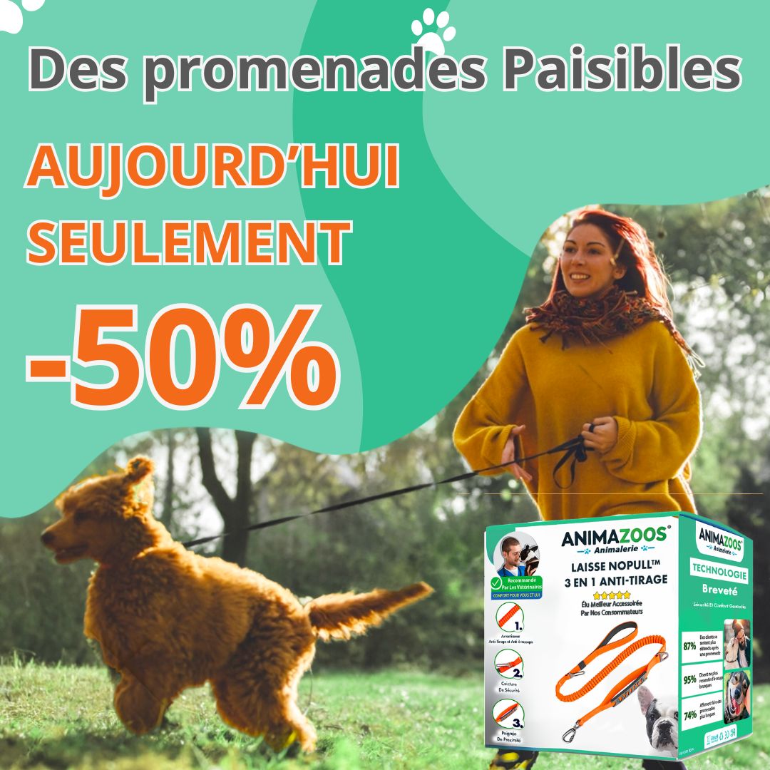 Laisse NoPull™ 3 en 1 Anti-Tirage