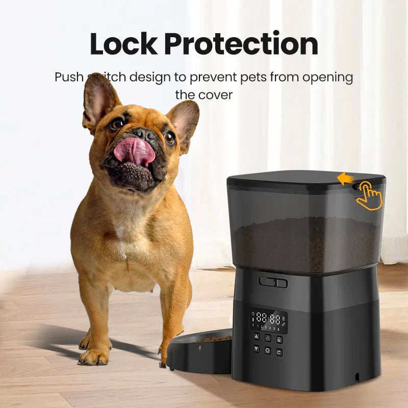 distributeur automatique croquettes chien securisé