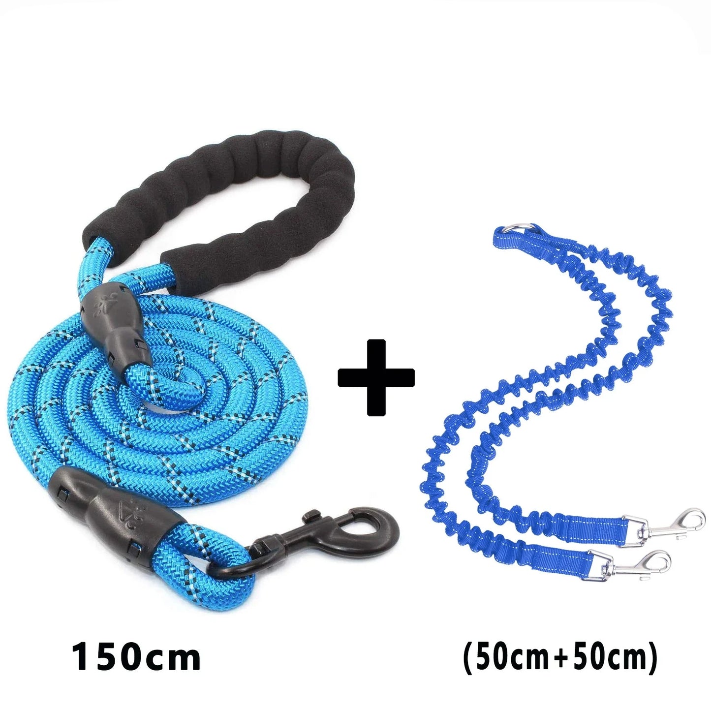 laisse double pour chien bleue