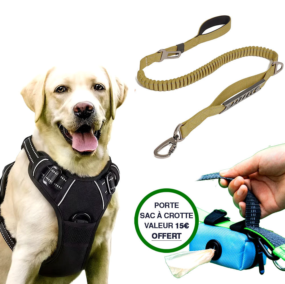 Pack Chien Qui Tire: Harnais Et Laisse Anti-Traction