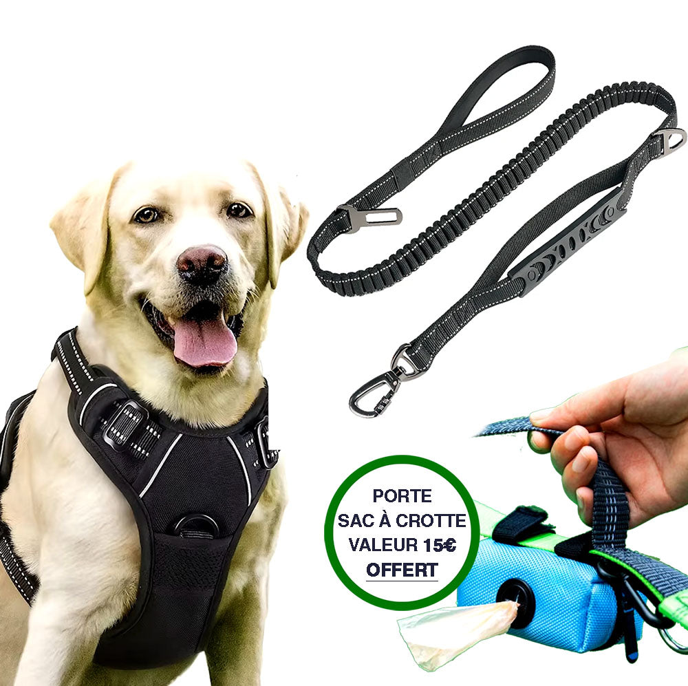 Pack Chien Qui Tire: Harnais Et Laisse Anti-Traction