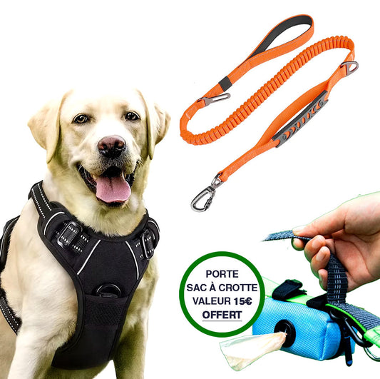 Pack Chien Qui Tire: Harnais Et Laisse Anti-Traction