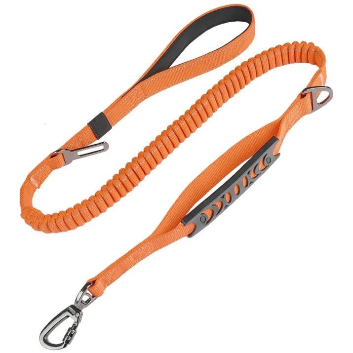 laisse anti traction chien​