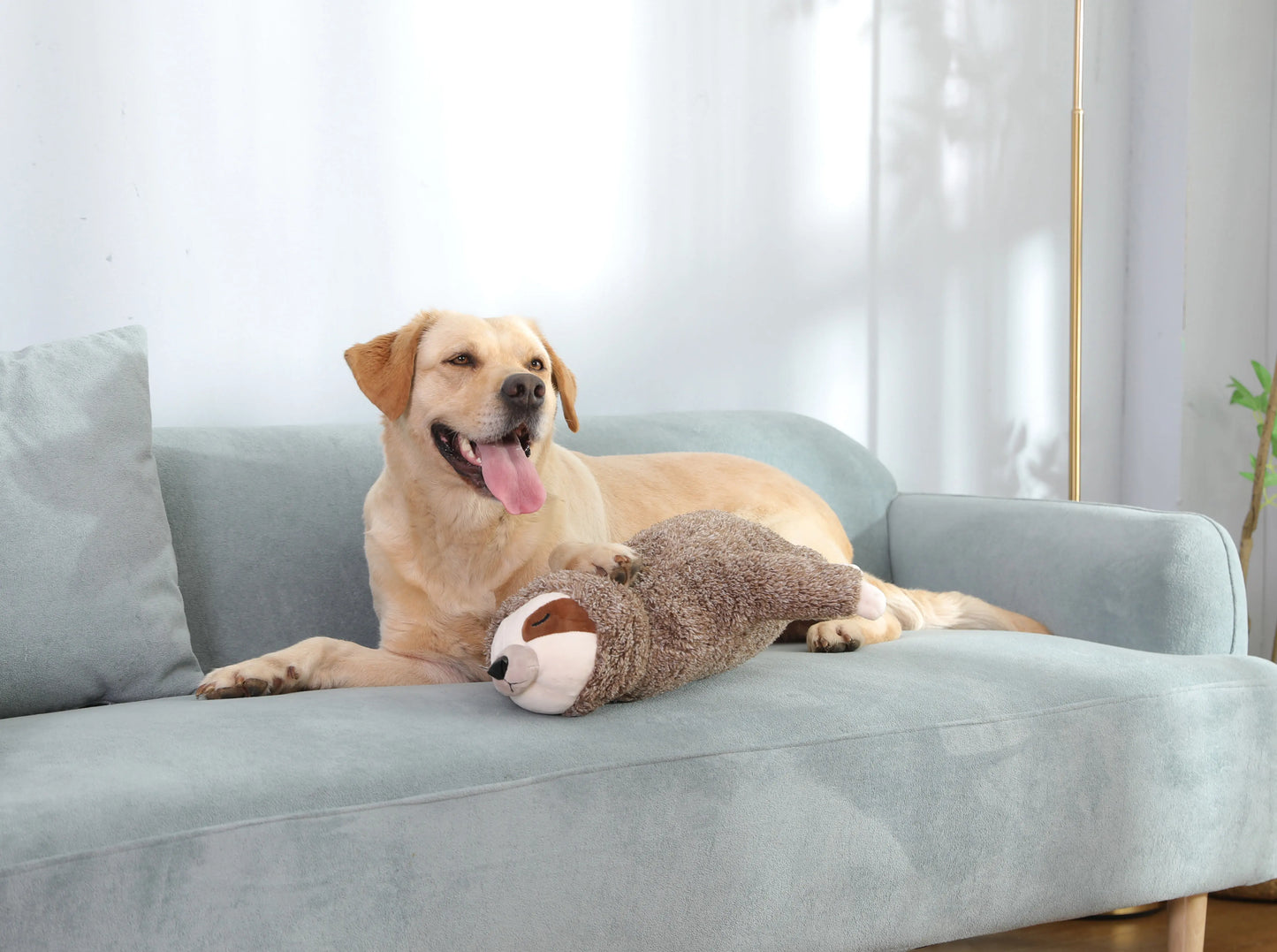 peluche anti stress chien