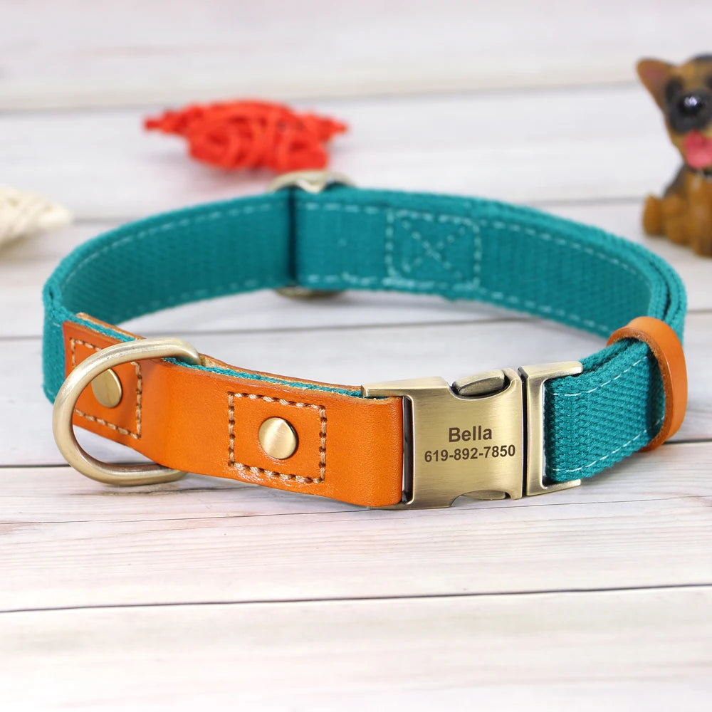 collier pour chien personnalisé