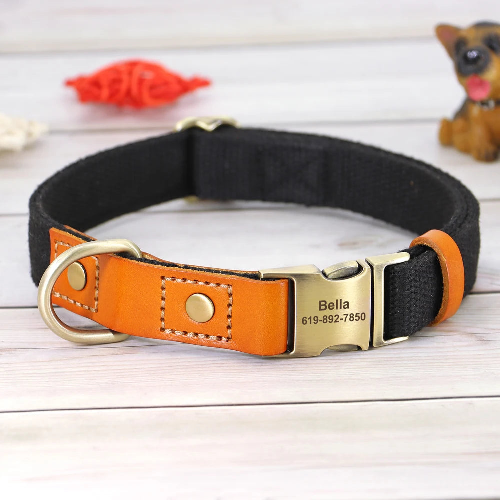 personnalisation collier chien