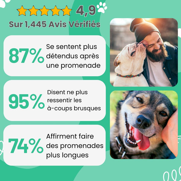 laisse anti traction chien​